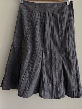 RW&Co skirt